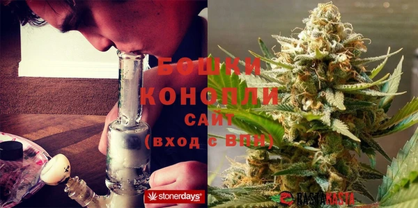 ГАЛЛЮЦИНОГЕННЫЕ ГРИБЫ Аркадак