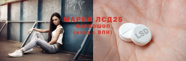 ГАЛЛЮЦИНОГЕННЫЕ ГРИБЫ Аркадак