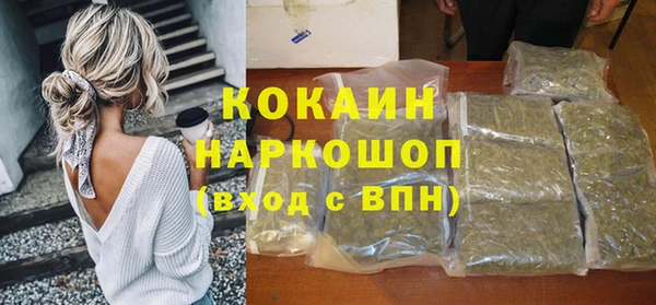 ГАЛЛЮЦИНОГЕННЫЕ ГРИБЫ Аркадак