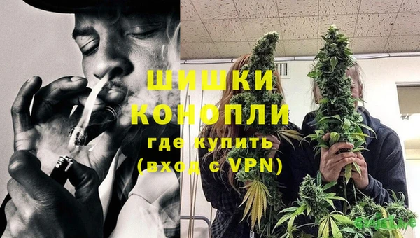 ГАЛЛЮЦИНОГЕННЫЕ ГРИБЫ Аркадак